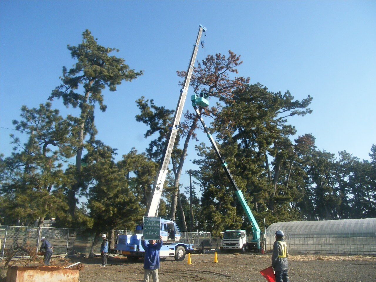 H28 松くい虫防除(伐倒駆除)業務